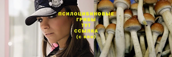 гашишное масло Баксан